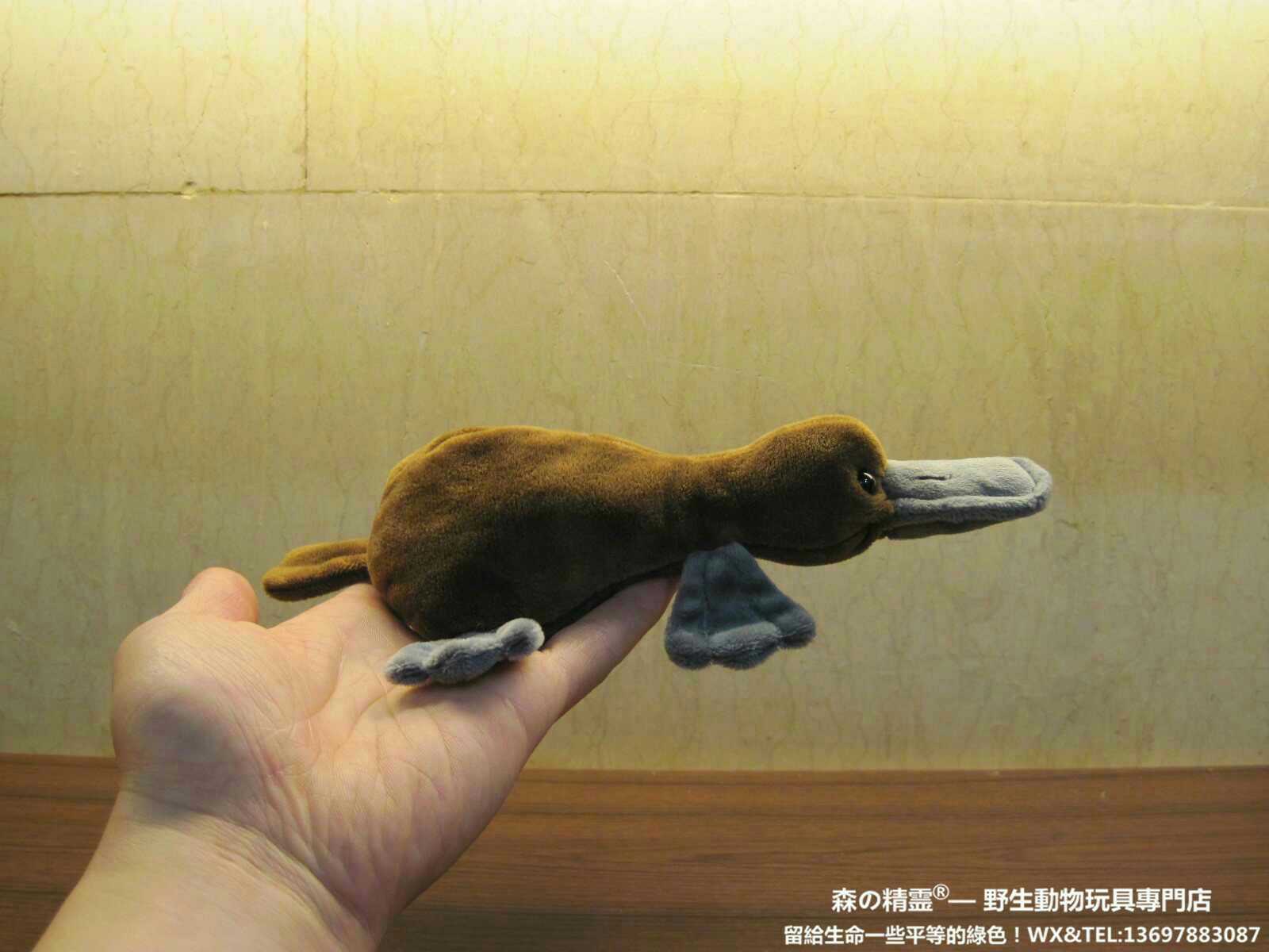 Duck billed platypus stuffed animal online