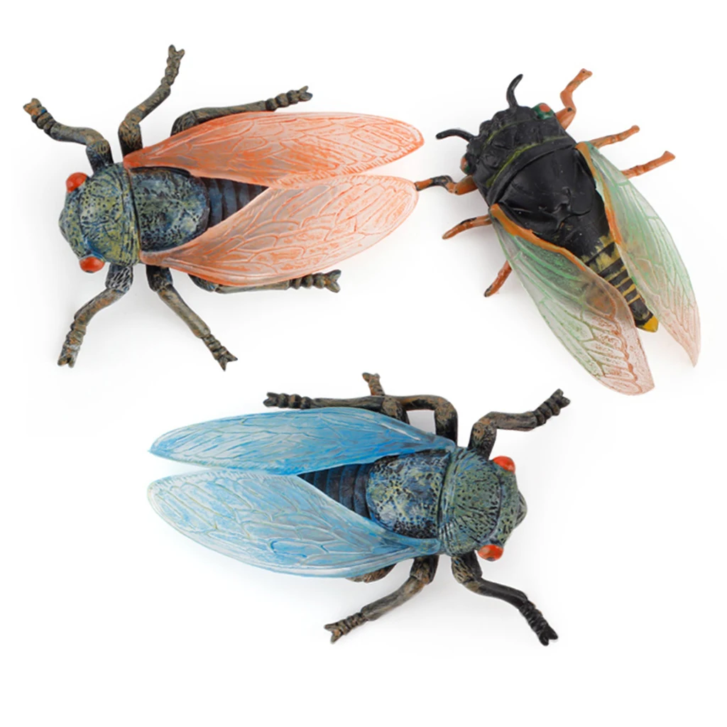 3 Pieces Fake Simulated Insect Model Realistic Plastic Cicada Figures for Collection Science Educational Teaching Aids