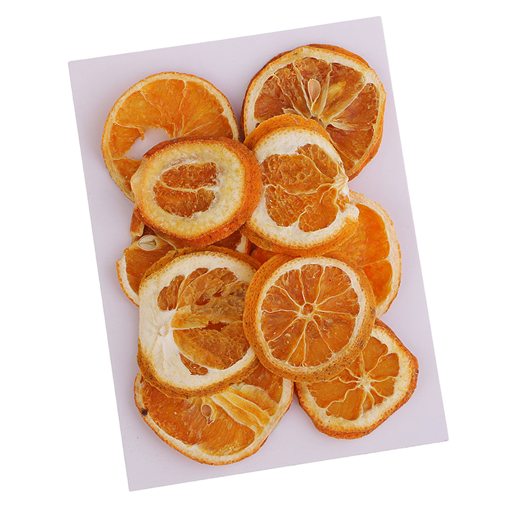 10x Pressed Natural Dried Fruits Orange Slices DIY Jewelry Photography Tools