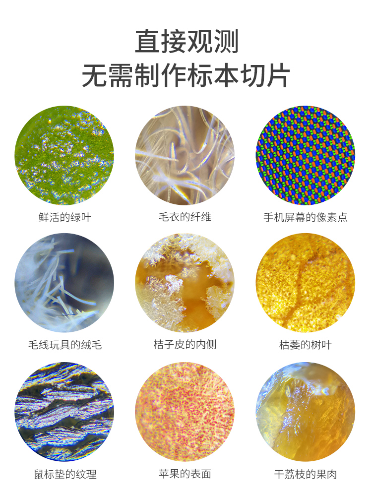 60x-120x Tragbares Darwin-Wissenschaftsmikroskop mit LED-Beleuchtung, Wissenschaftsspielzeug, Experimentierausrüstung für Grundschüler, Taschen-Mini-Mikroskop – Detail 6