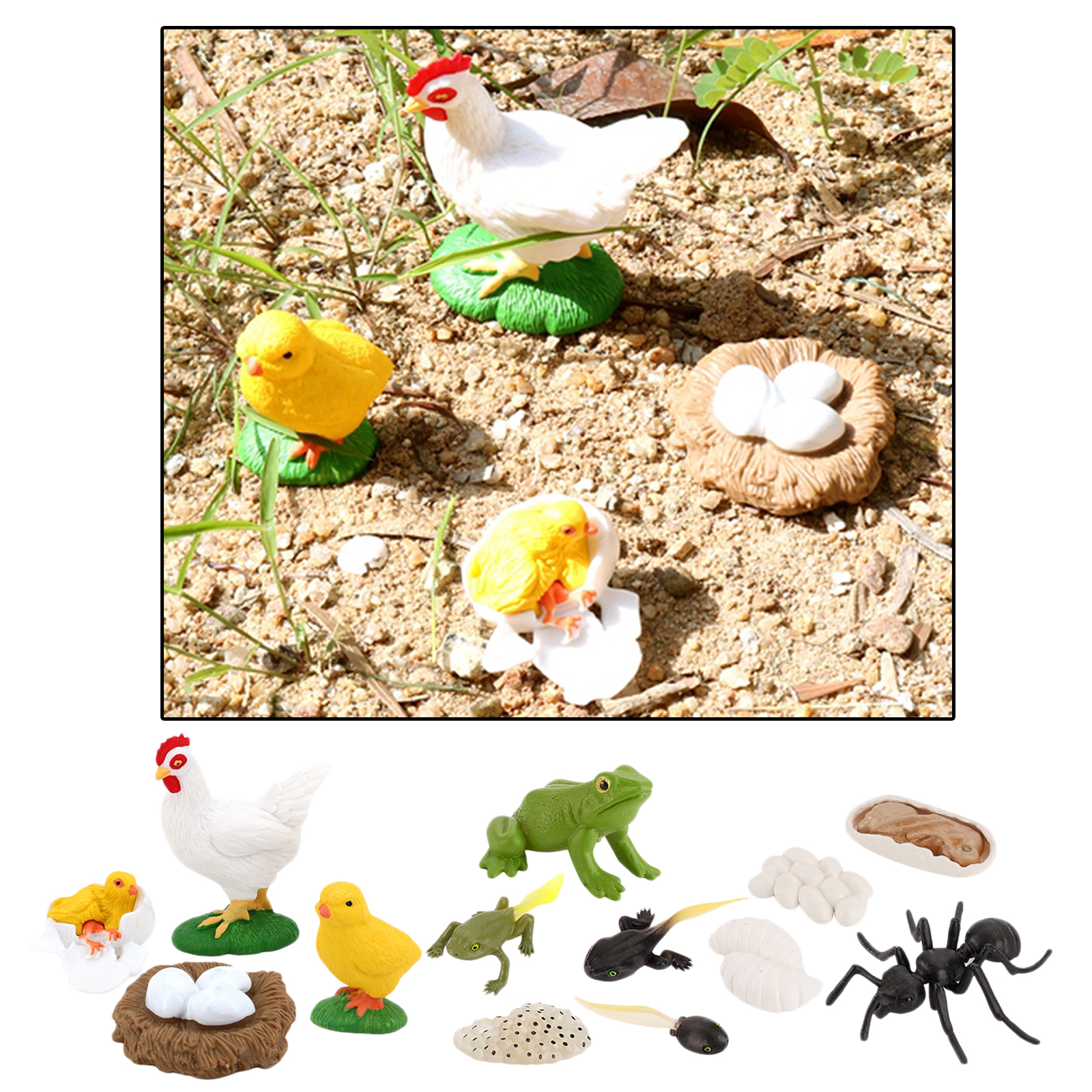 Kids Simulation Animal Figures Worker Ant Hen Frog Growth Process Playset