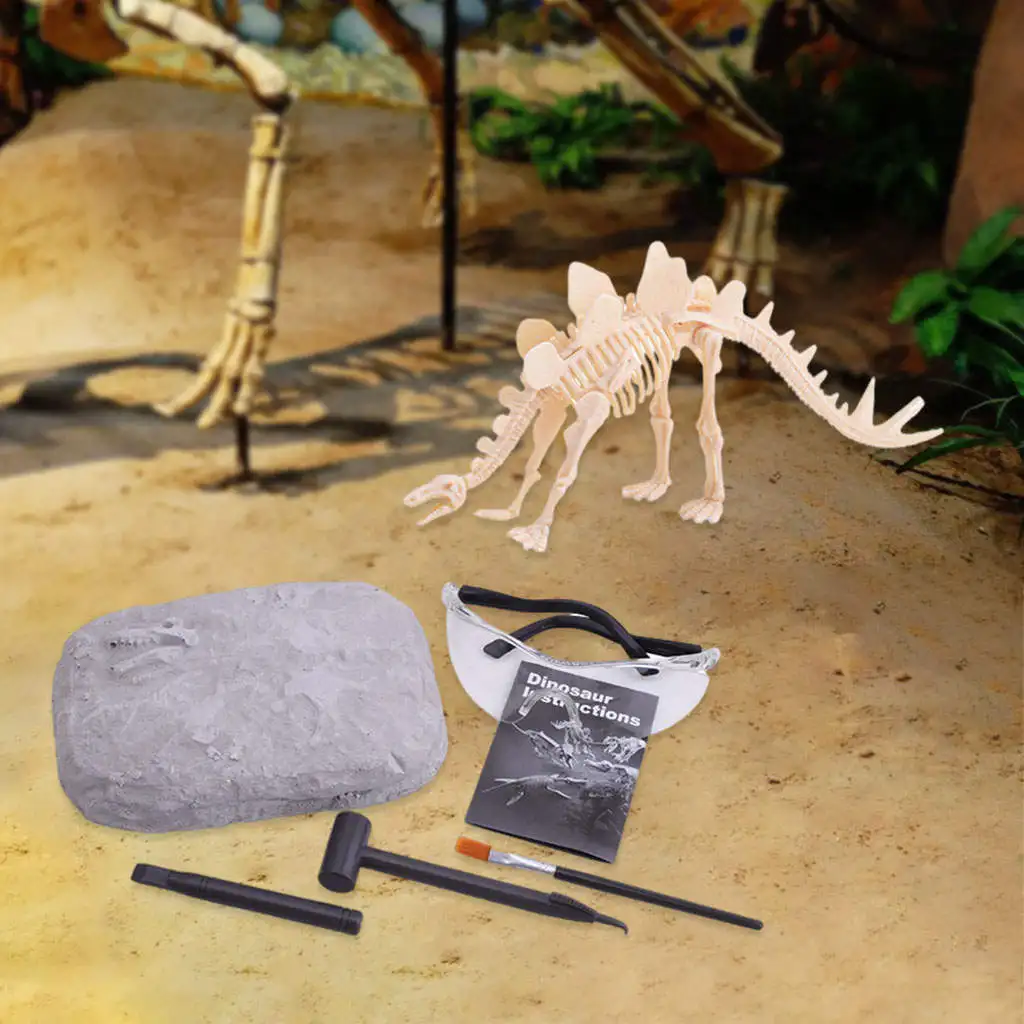 Dinosaur Skeleton Excavation Kit Paleontology and Archaeology Activity for Enthusiasts