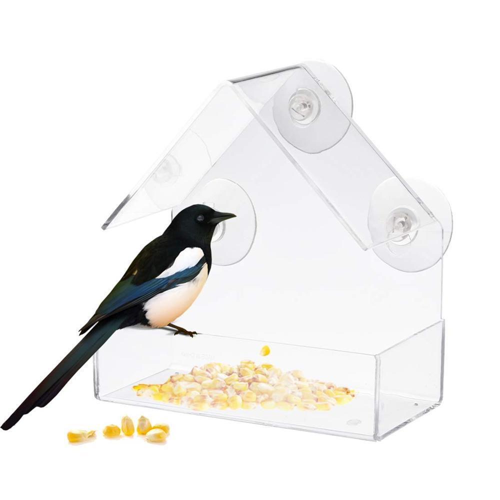 Window bird feeder