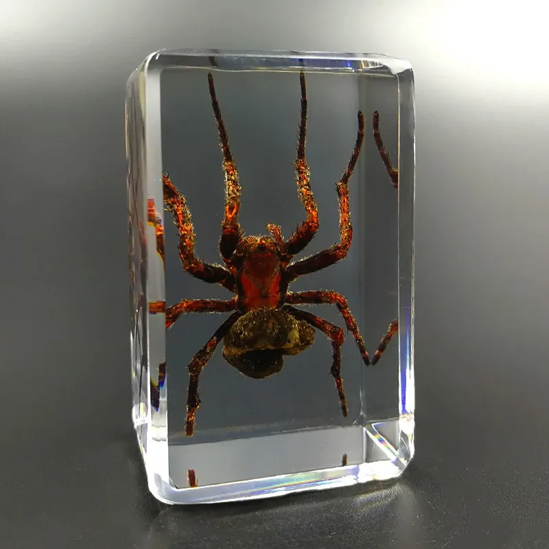 pequenos ornamentos ornamentos observação brinquedos resina animais escorpião besouros aranha