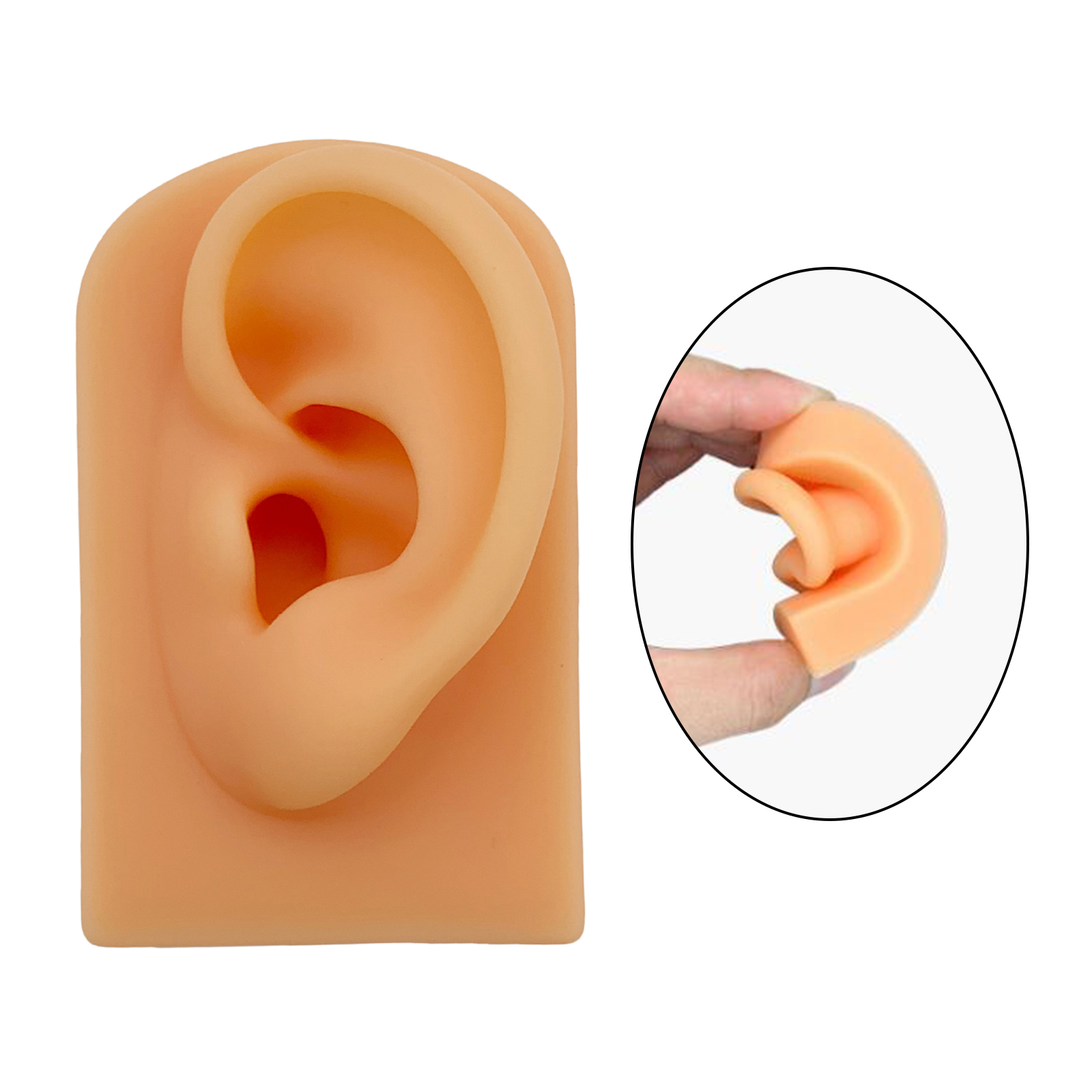Ear Model Human Body Part Model Simulation Silicone Artificial Ear Model Soft Silicone Human Ear Model