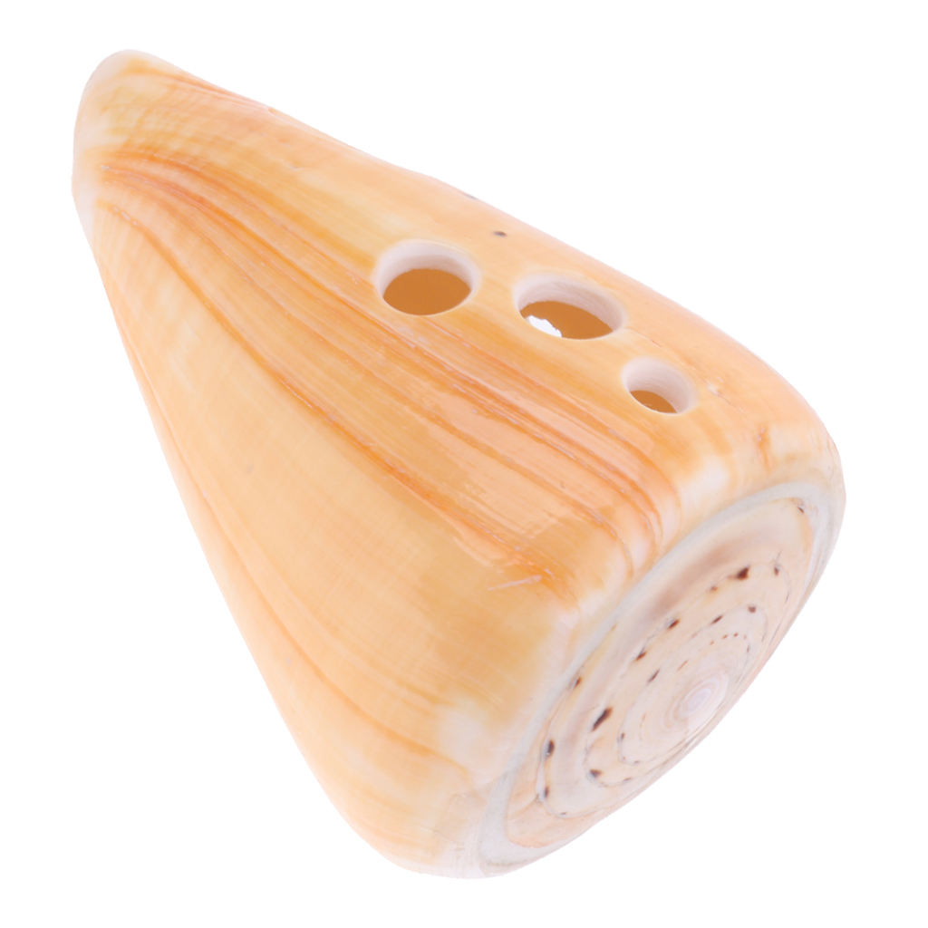 Perfect Tone 8 Holes Ocarina Shell Xun F Key Chinese Traditional Instrument