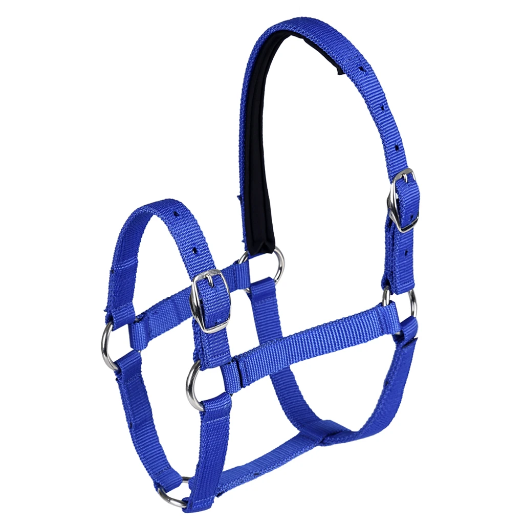Adjustable Equestrian 4.3ft - 5.4ft Horse Halter - Designed for Training, Trailering and Lunging