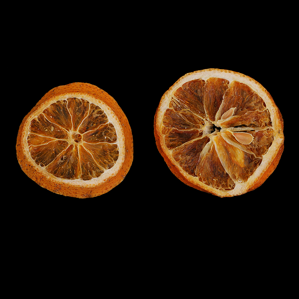 10x Pressed Natural Dried Fruits Orange Slices DIY Jewelry Photography Tools