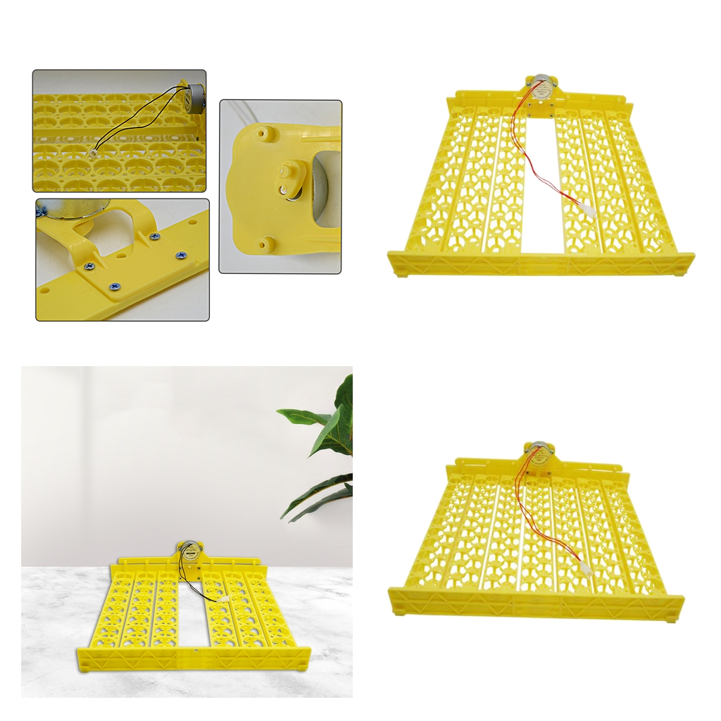 Egg Turner Tray Poultry Goose Birds Egg Hatcher DC110V Temperature Control