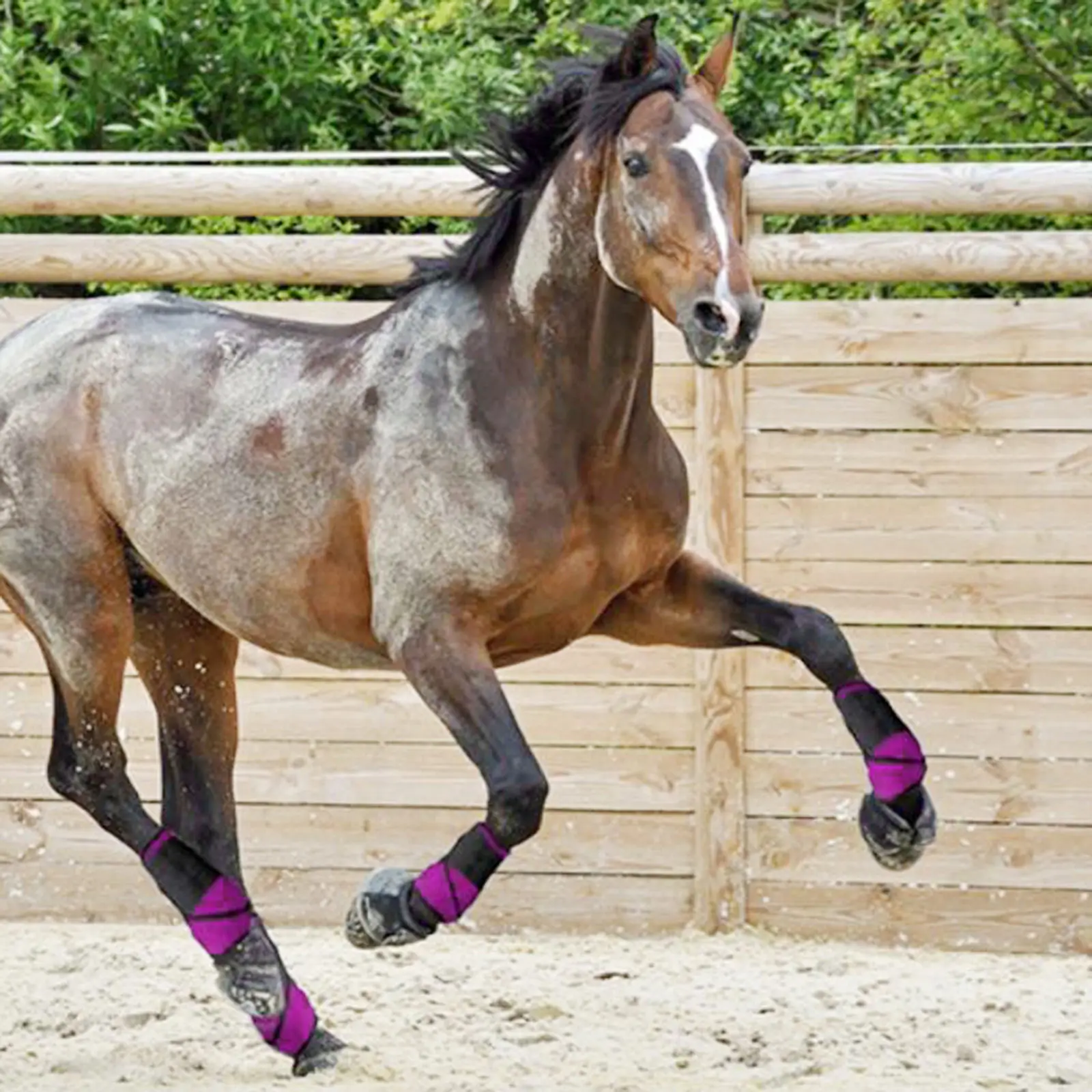 Horse Tendon Boots Equestrain Front Rear Leg Protect Support Brushing Boot Equine Dressage Boots for Training Jumping Riding