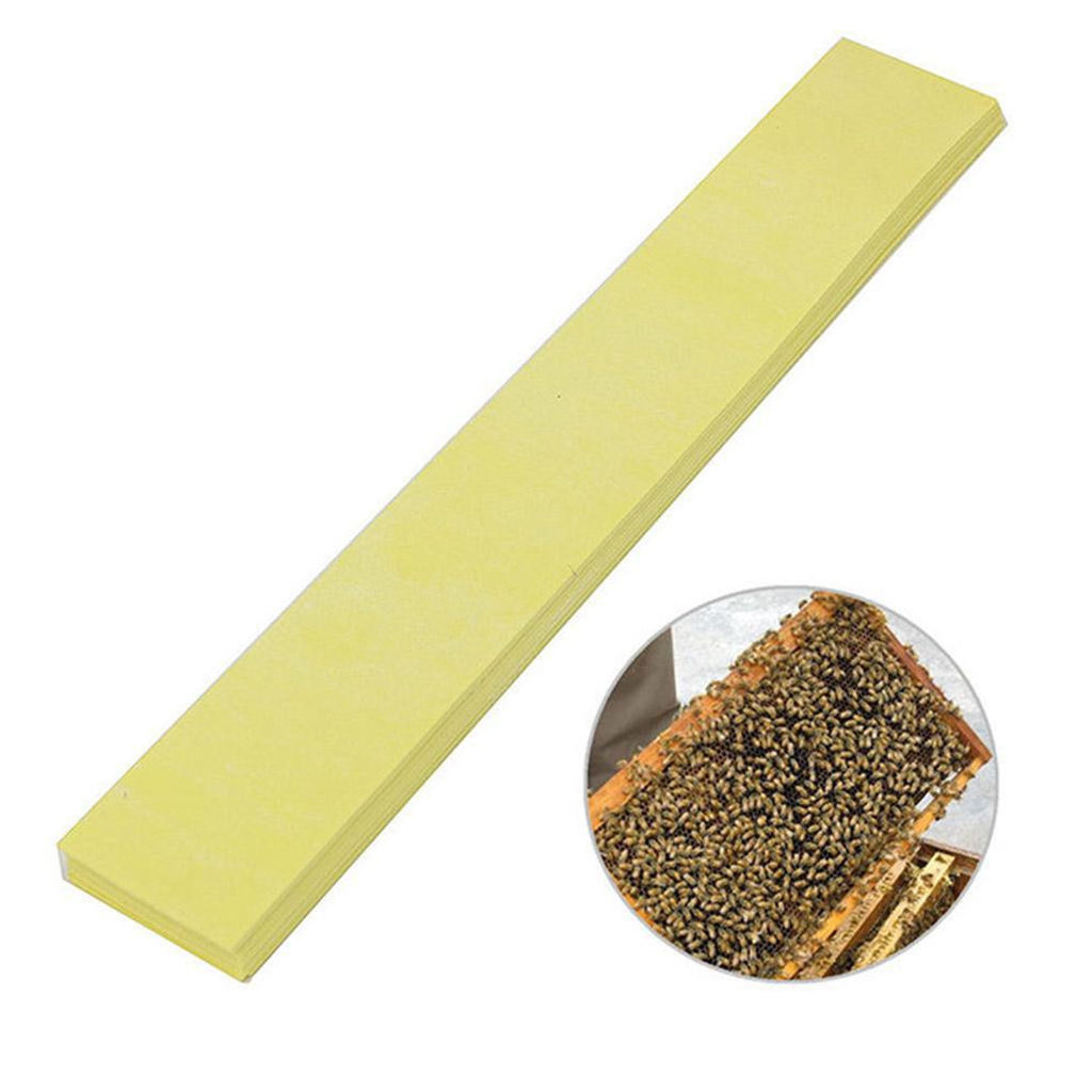 20 Pcs Bee Mite Varroa Killer, Beekeeping Supplies Strips Fluvalinate Tool for Protecting Bees Outdoors