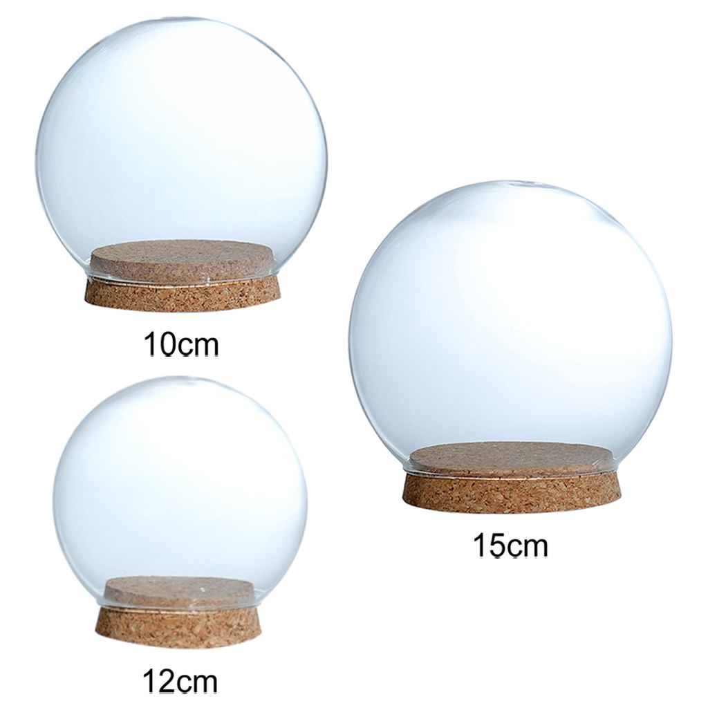 Glass Dome Display Wood Cork Bell Jar Cover Cloche Display With Wooden Base Table Decoation Craft