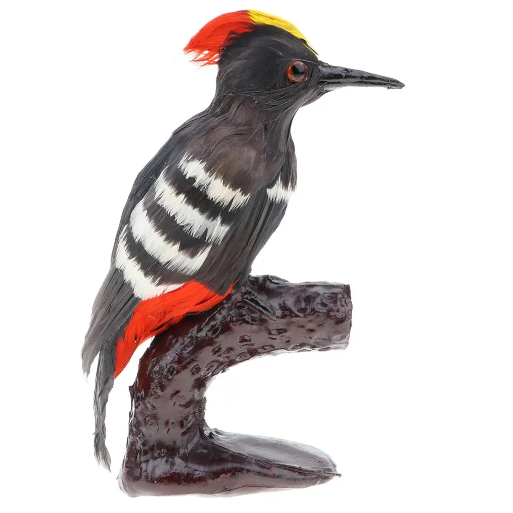 Lifelike Artificial Feathered Woodpecker Animal Model Science Nature Toy A