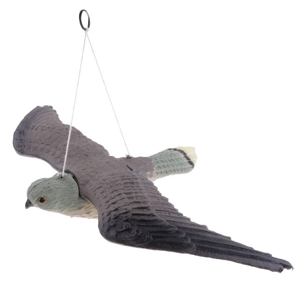 '' Flying '' bird of prey falcon life-size hanging bird terrier scarecrow for