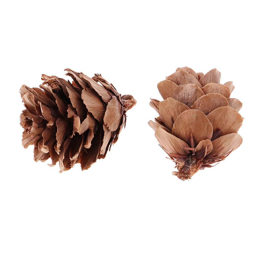 30 Pieces Real Natural Small Pine Cones Decorative Pinecone Bauble Xmas Tree