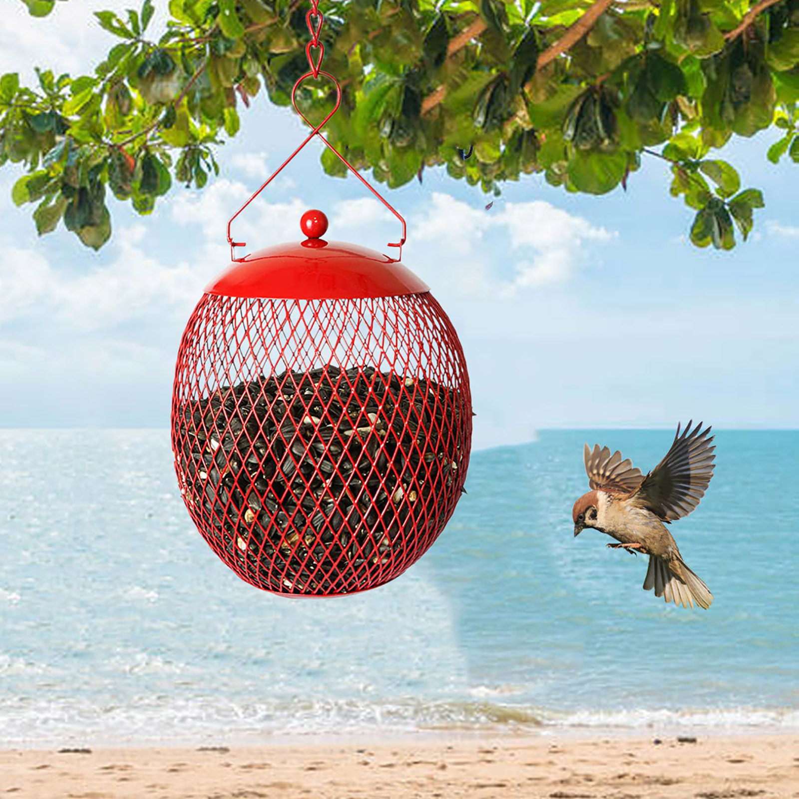Courtyard Feeder bird cages Berrie Hummingbird bird feeder cage Garden bowls and bowls Villa Balcony bird feeder camera Courtyard Feeder bird cages Berrie Hummingbird bird feeder cage Garden bowls and bowls Villa Balcony bird feeder camera