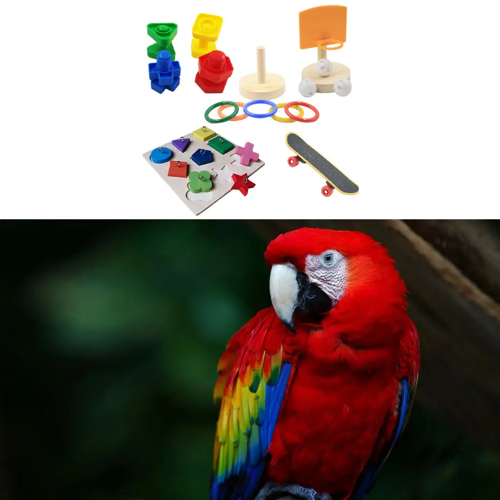 Parrot Toy Entertainment Bite Resistant Stress Release Scooter Brilliant Design for Cockatiels Conure Bird Pet Supplies