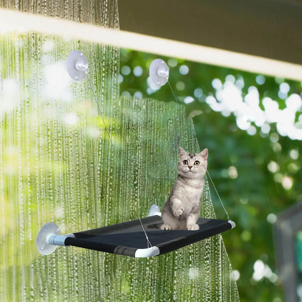 Cat Window Perch Hanging Bed Hammock Sucker Detachable for Pet Playing Pet Supplies Bear 20kg
