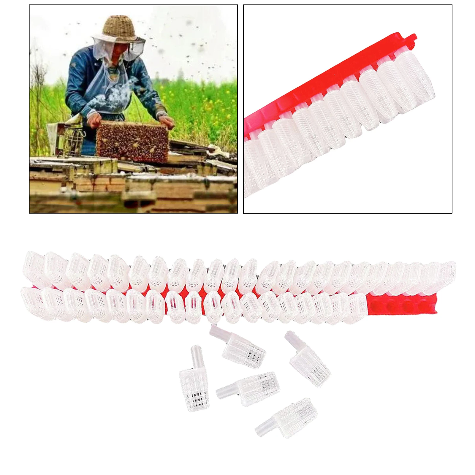 46Pcs Plastic Queen Bee Moving Isolator Rearing Box Trap Cage Catcher Protection Case w/ Transportation Strip Beekeeping