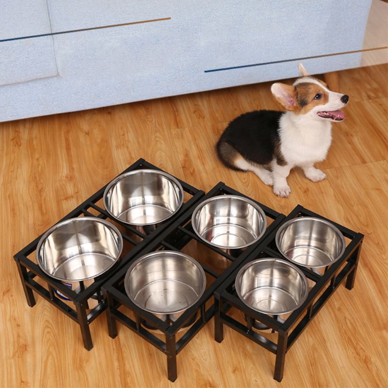 Alimentação p cães