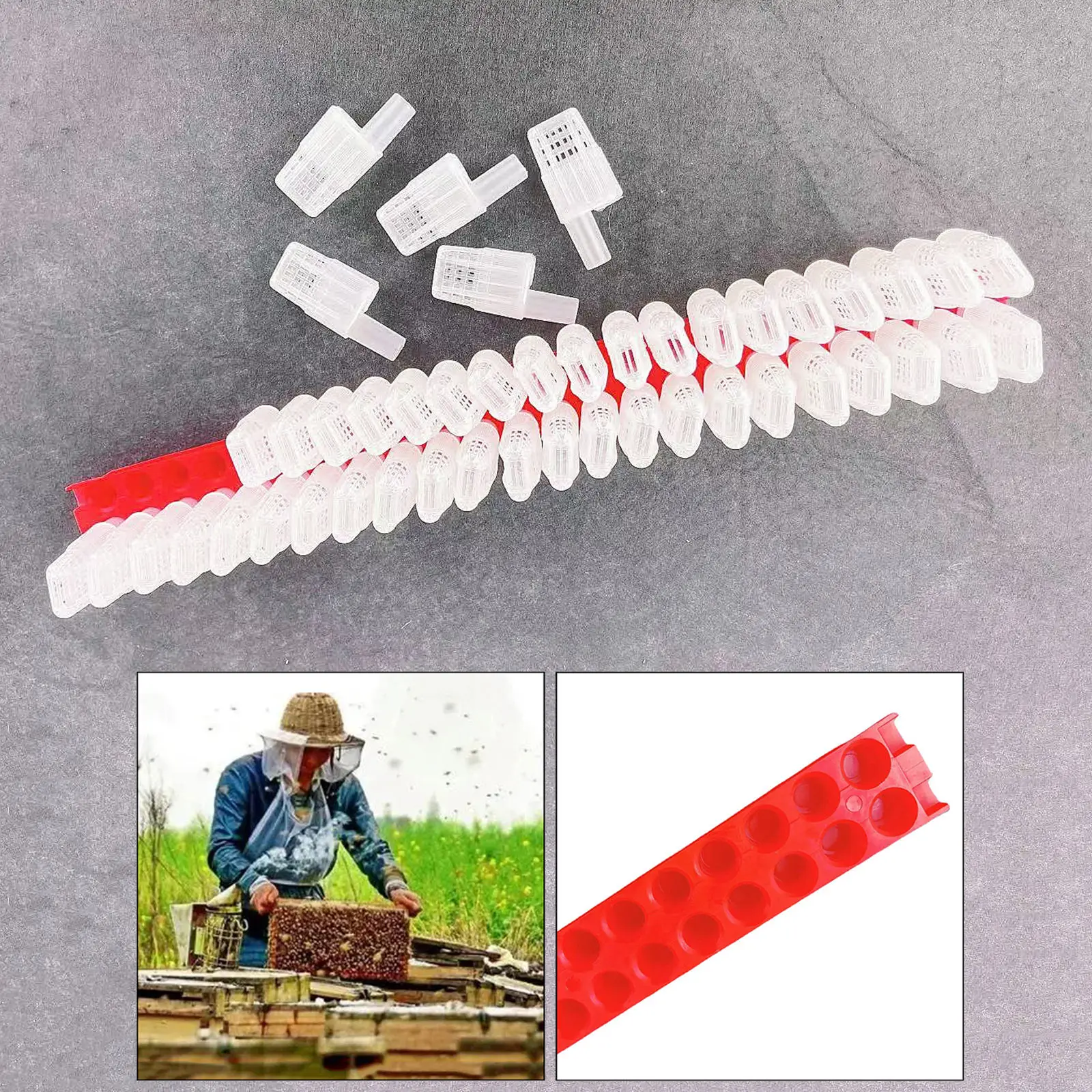 46Pcs Queen Bee Transporting Moving Isolator Hive Cage Catcher Protection Case w/ Transportation Strip Beekeeping Supplies