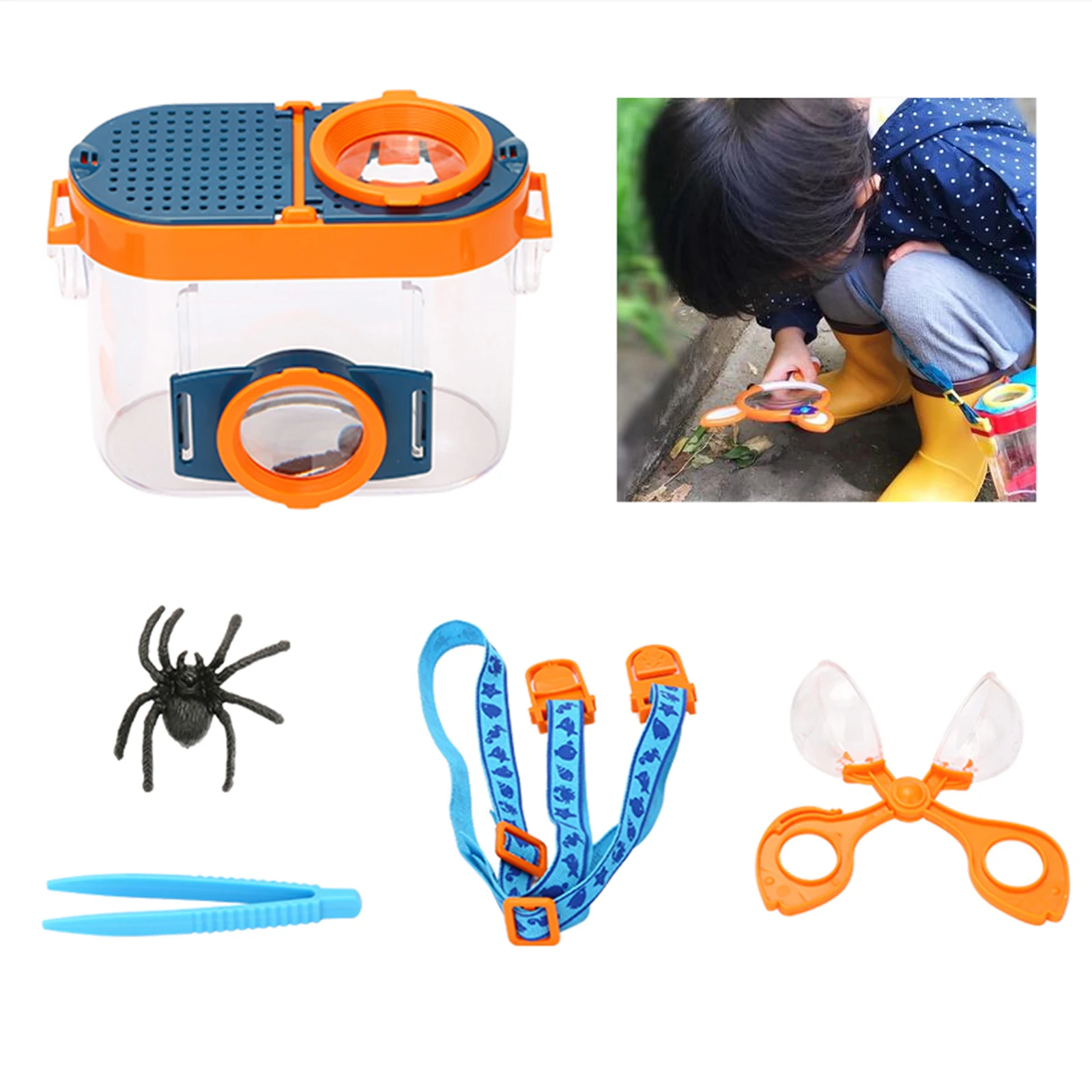 Insect Viewer Inspection Kit Bug Catcher Viewing Collection Kit for Kids Gifts N 