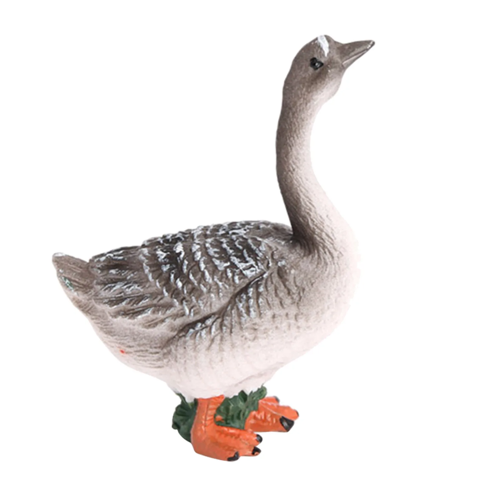 Realistic Growth Cycle Plastic Life Cycle Goose Model Biology Toy Teaching Aids