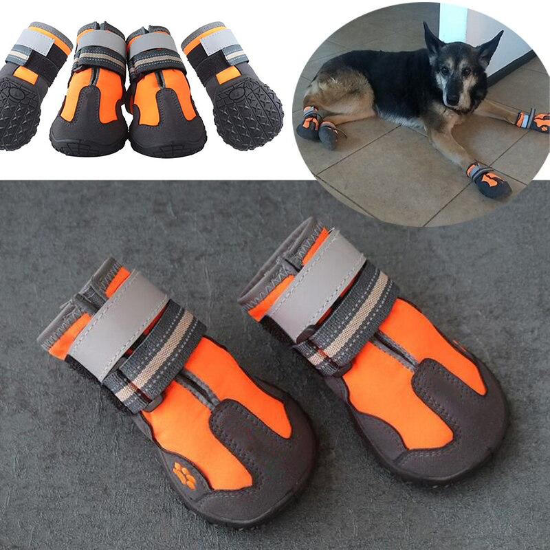 Sapatos p/ cães