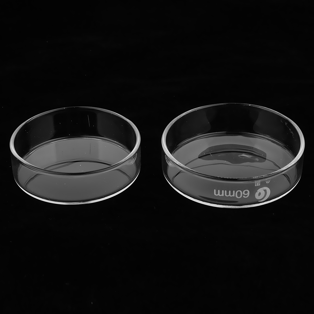 Petri Dish Glass Sterile Cell Plants Tissue Culture Dishes 60mm/75mm/90mm/100mm