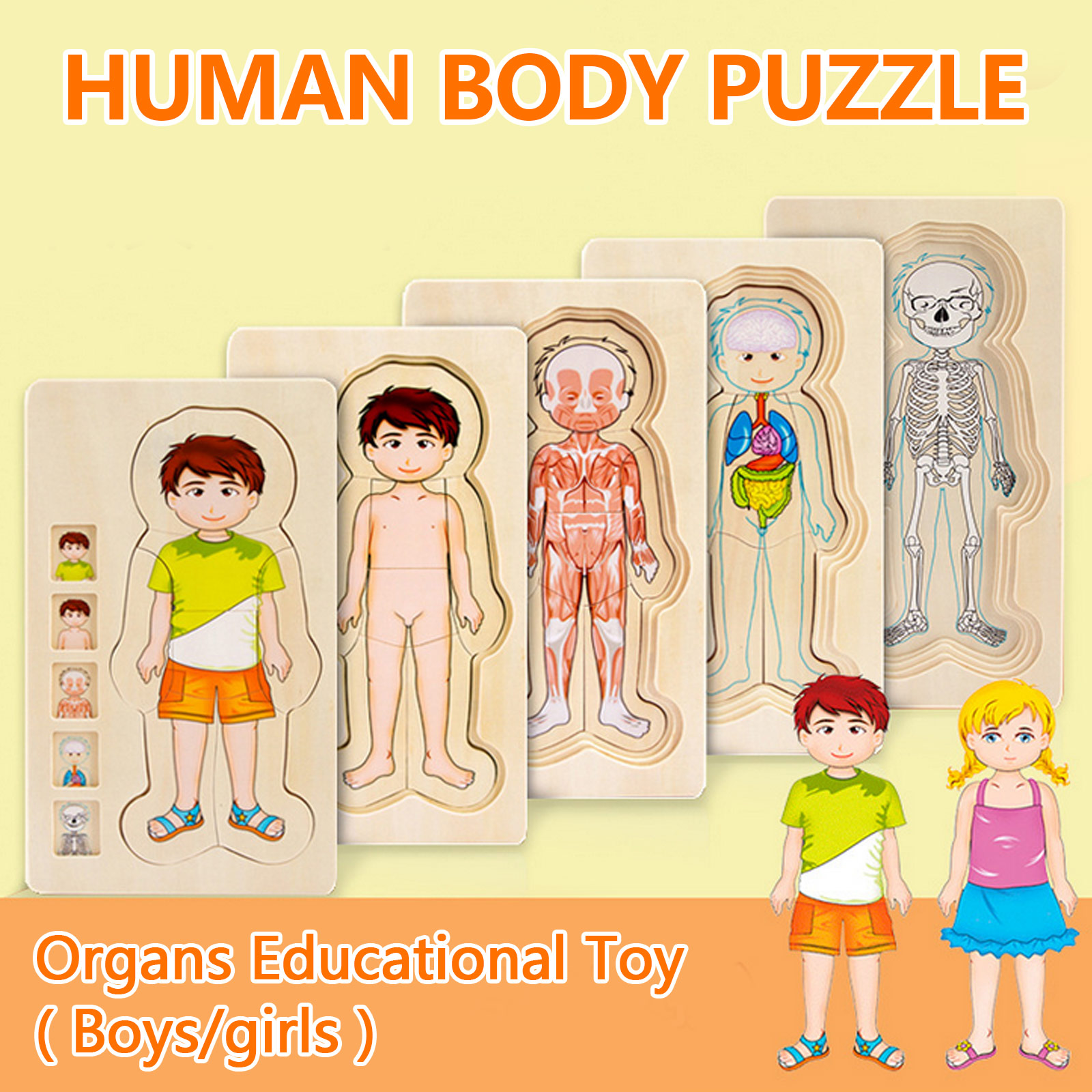 Quebra-cabeças de Corpo Humano de Madeira Partes do Corpo Músculos do Gênero Corpo da Memória Educacional para Crianças Presente de Natal e Aniversário Brinquedo 1 High Quality Brinquedos e hobbies