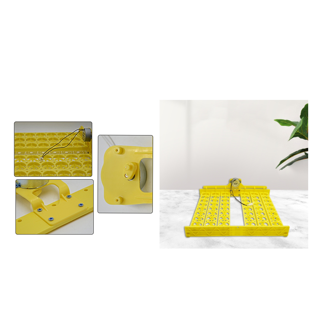 Egg Turner Tray Poultry Goose Birds Egg Hatcher DC110V Temperature Control