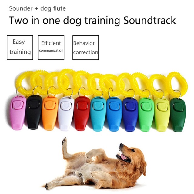 Szkolenie dla zwierząt gwizdek gwizdek szkolenia psów Clicker przewodnik po pomocy na zewnątrz gwizdek Multicolor codzienne praktyczne akcesoria dla psów tanie tanio Klikery do tresury CN (pochodzenie) Z tworzywa sztucznego Pet Supplies Trainings Szkolenie dla zwierząt gwizdek gwizdek szkolenia psów Clicker przewodnik po pomocy na zewnątrz gwizdek Multicolor codzienne praktyczne akcesoria dla psów tanie tanio Klikery do tresury CN (pochodzenie) Z tworzywa sztucznego Pet Supplies Trainings