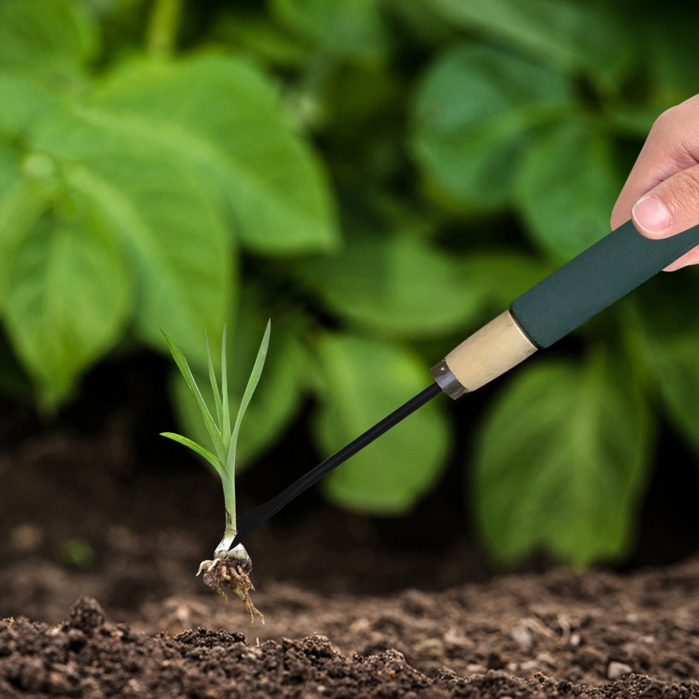 Désherbeur Jardin En Aluminium | Élimine Racines Profondes | Outil Ergonomique