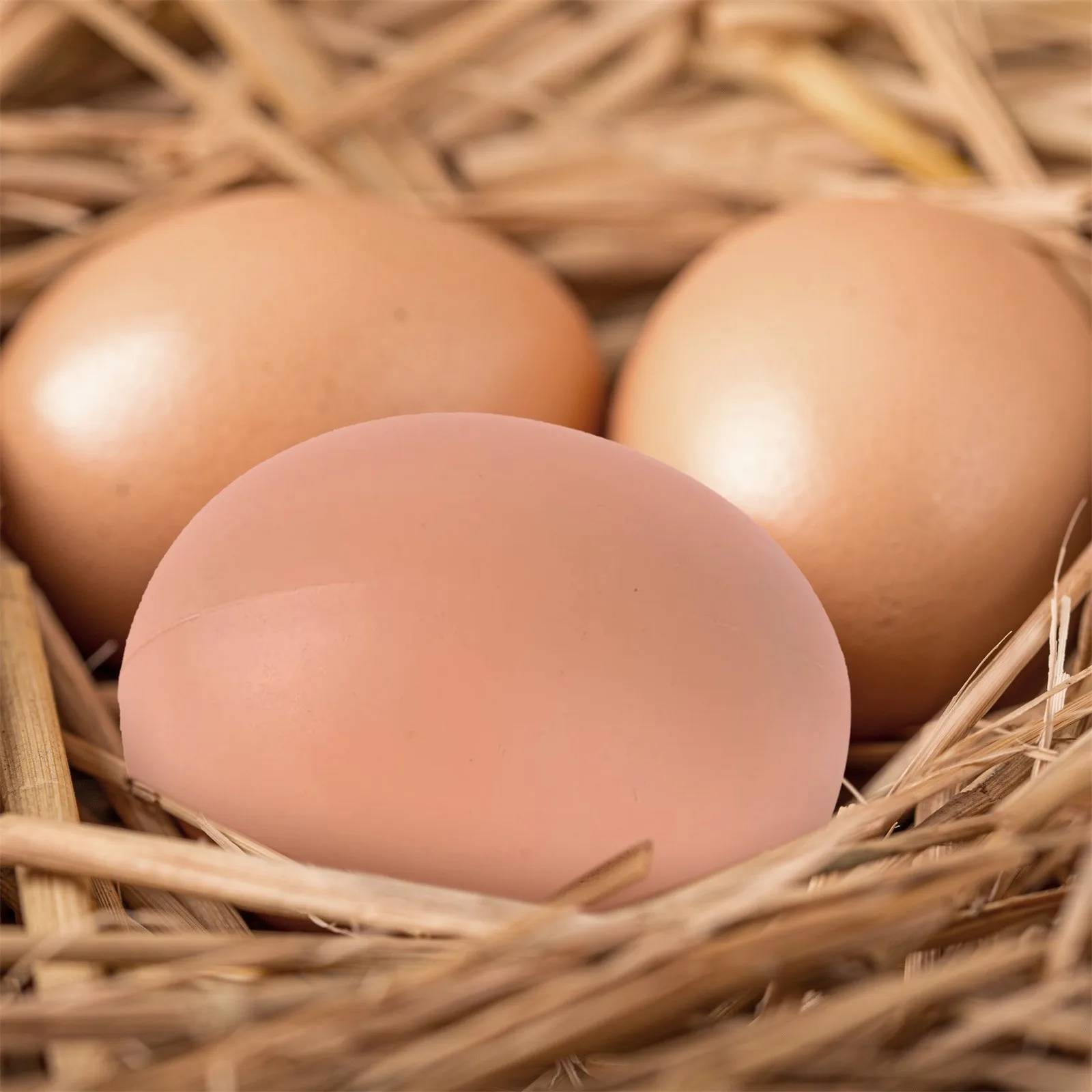 Khaki Fake Rubber Creative Eggs Novelty Joke Farm Egg New 