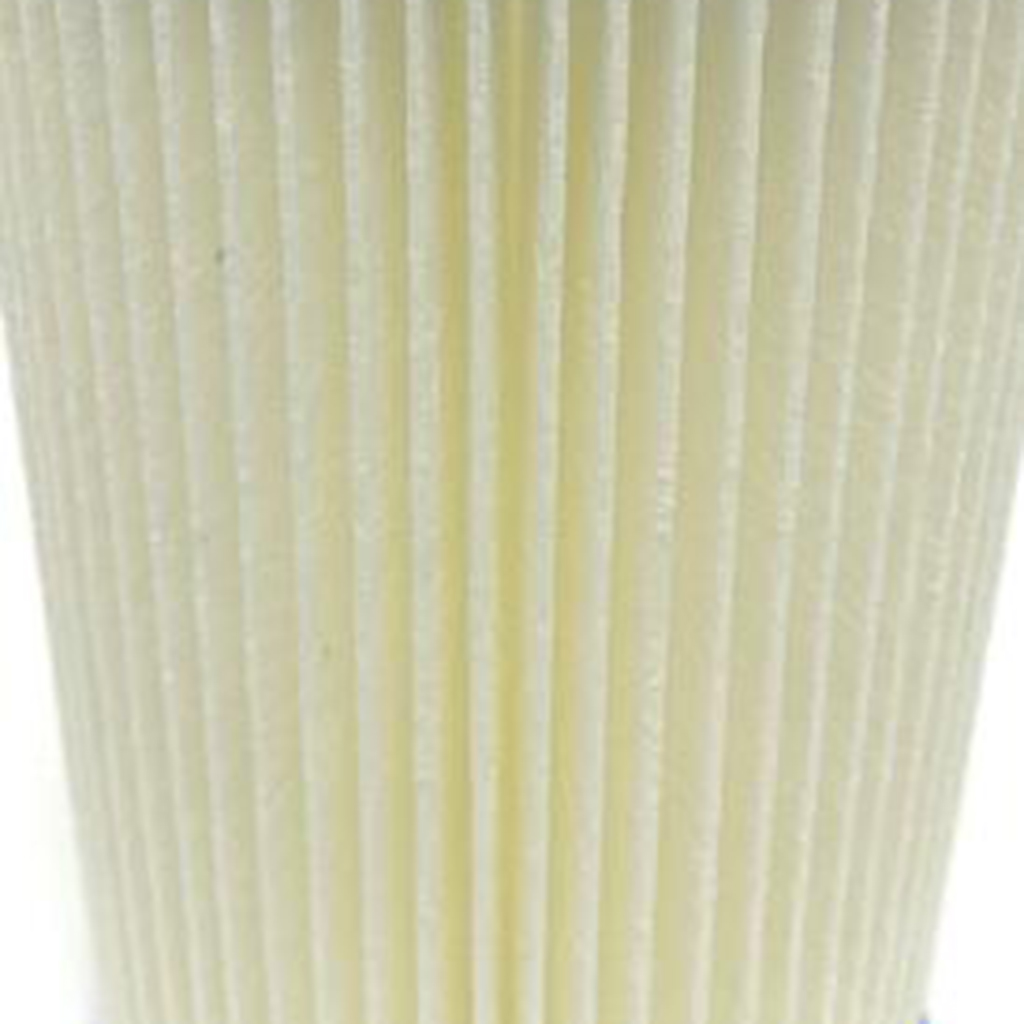 FD2138 Inflatable Swimming Pool Pump Filter Type III for Pool Spa White