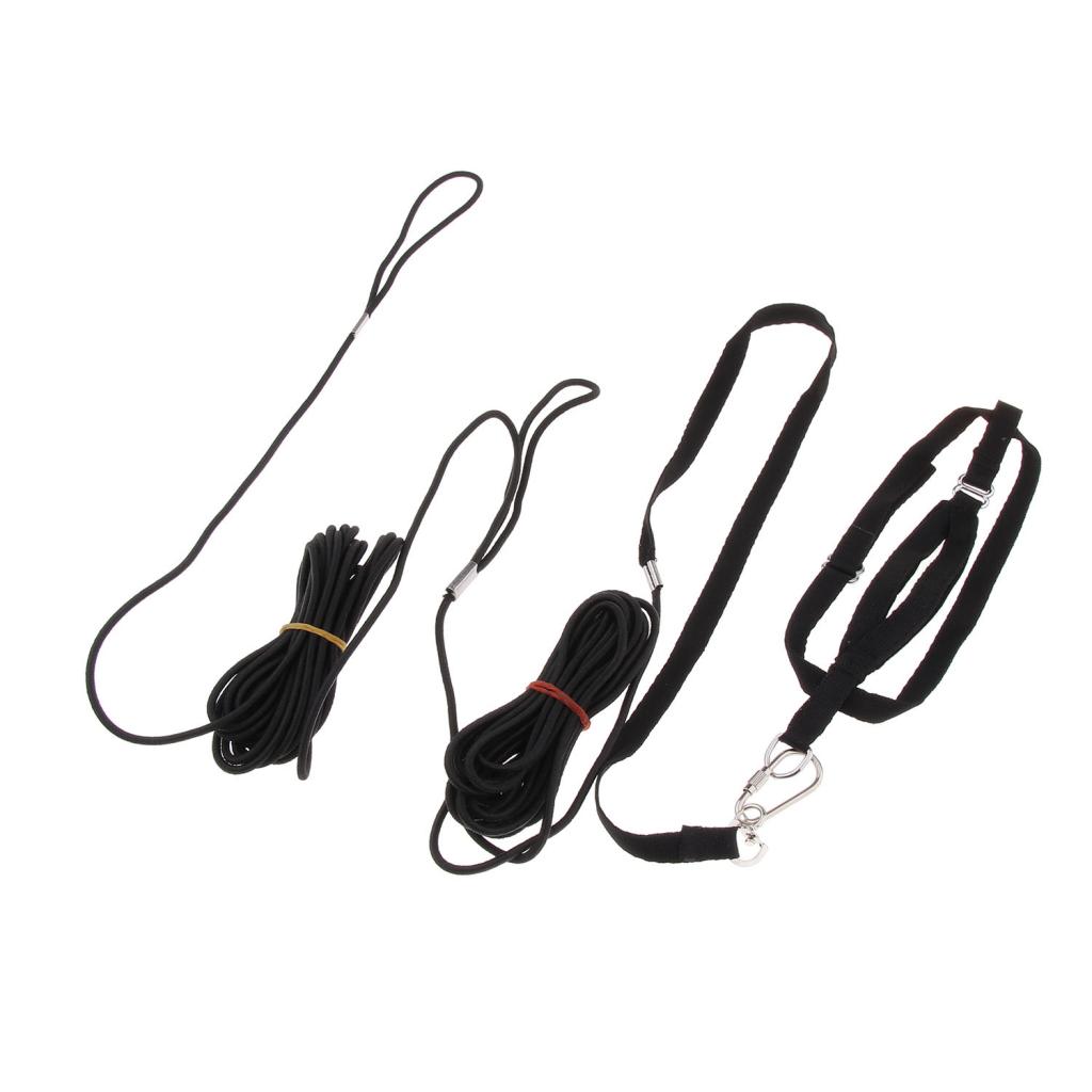 Parrot Adjustable Bird Harness and Leash Outdoor Walking Safe Traction Rope