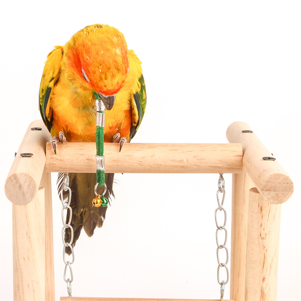 Adjustable Bird Harness Lead Leash with Bells Parrot Wing Traction Rope