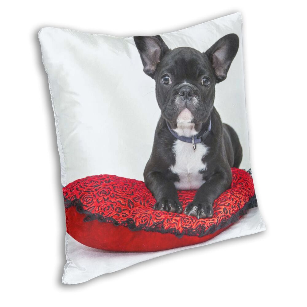 [(29)Cushion Cover]