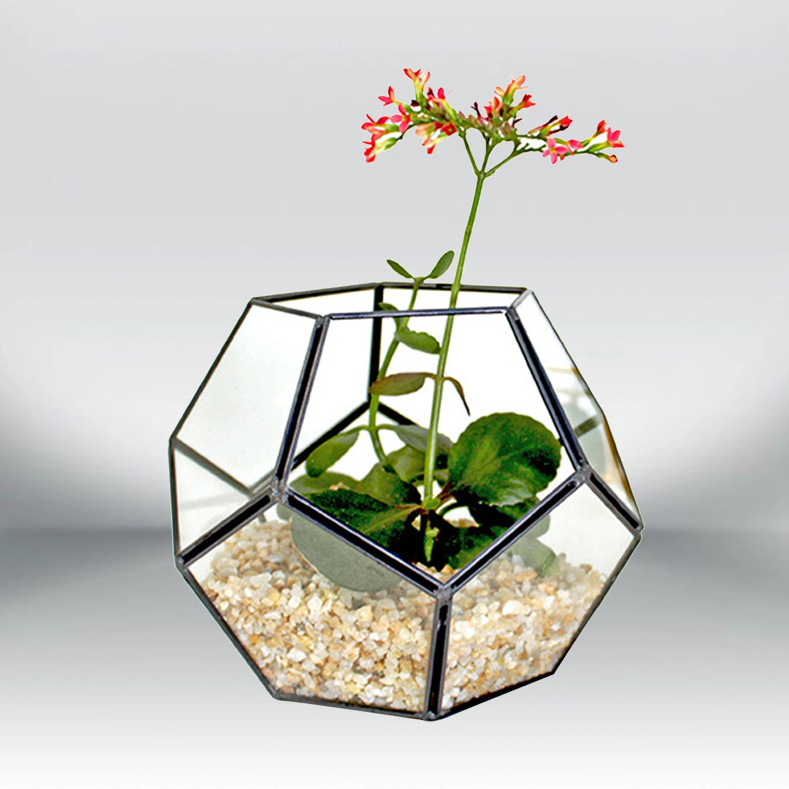 Geometric Terrarium Home Tabletop Decor Display Box for Family Friends Couples Schoolmate Gift