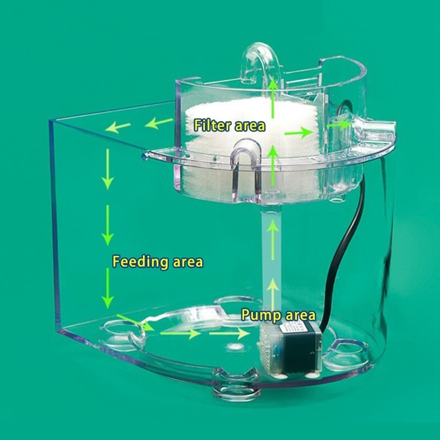 Cricket Keeper Mini Portable Fish Tank Clear Plastic Containers Reptile  Aquarium Aquariums Fishbowl - AliExpress