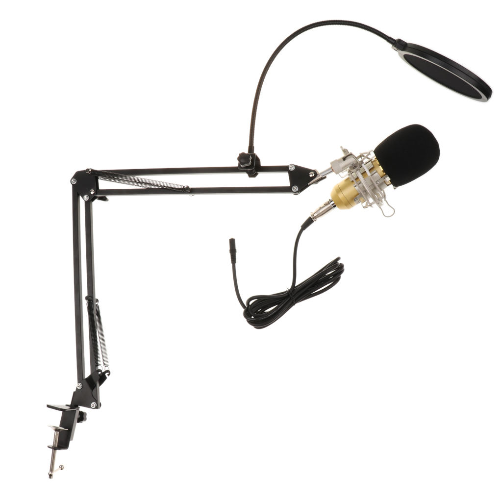 BM800 Dynamic Condenser Studio Recording Microphone Mic for Broadcasting