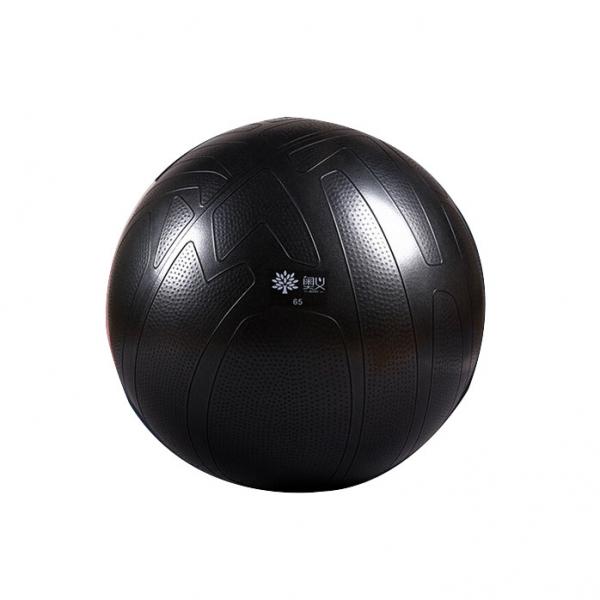 1pc Yoga Ball Pilates Ball Thick PVC Professional Anti-Burst Fitness Exercise Compact and Portable