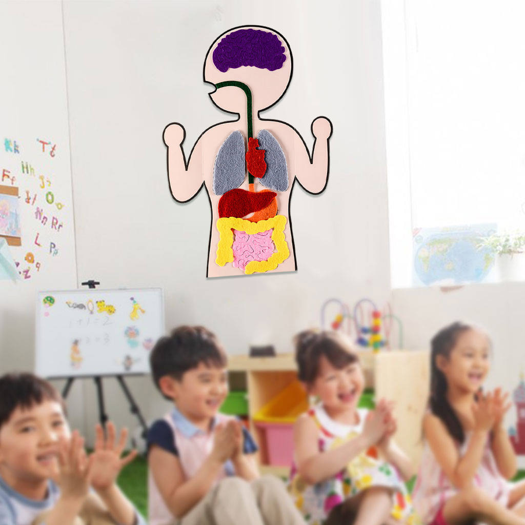 DIY Human Organ Cognition Enlightenment Teaching Aid Preschool Science Early Learning for Christmas Present Gifts Baby Toddlers