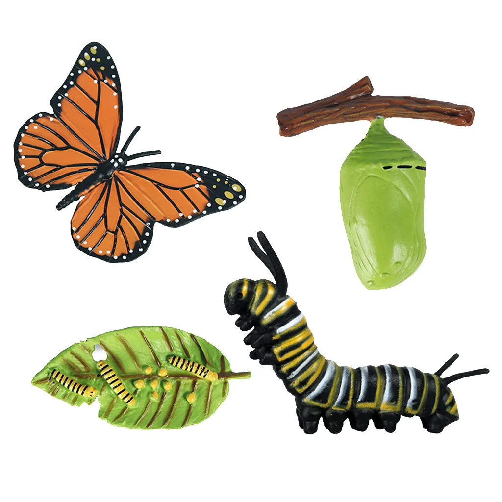 Nature Butterfly Life Cycle Stages Insect Growth Figures Playset Pre-school