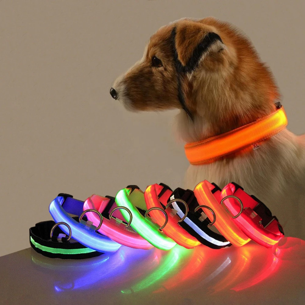 Un perro que lleva un collar con una luz naranja brillante a su alrededor. Delante del perro, sobre una superficie, hay una hilera de collares para perros iluminados y de colores, cada uno con un color de luz diferente. Los colores incluyen azul, verde, rosa y rojo, entre otros.