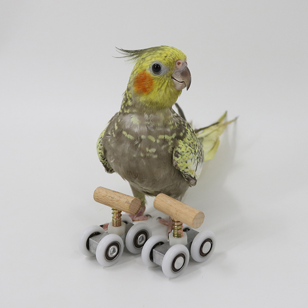 Pet Playground Tabletop Parrot Roller Ice Skates Toys Bird Activity Toy