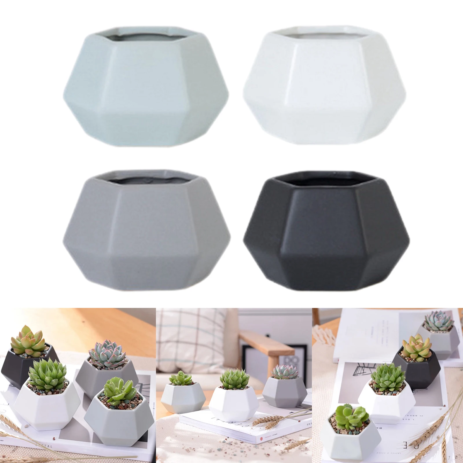 4 Pack Mini Succulent Simpe Design Planter Pots Cactus for Home Office Desk Shelf Window Decor (Plants