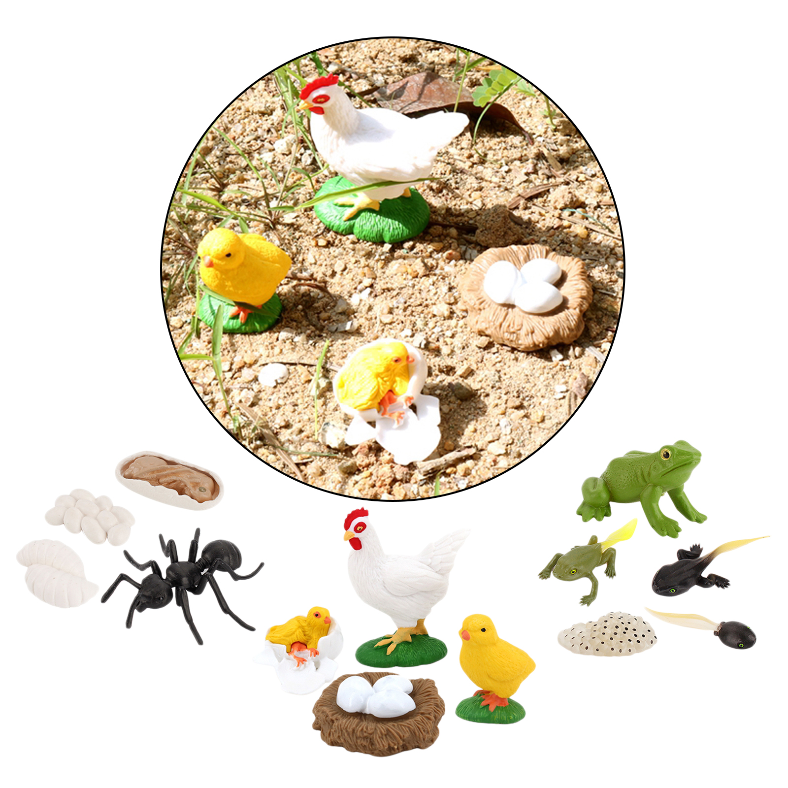 Kids Simulation Animal Figures Worker Ant Hen Frog Growth Process Playset