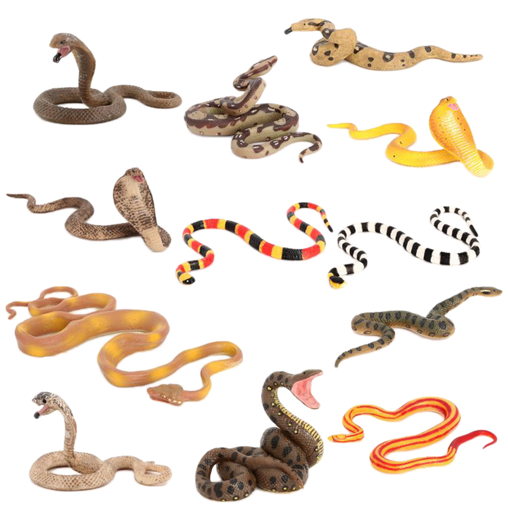 Plastic 12x Wildlife Snake Figurine Model Toys, Animal Figure Educational Toys for Kids Gift