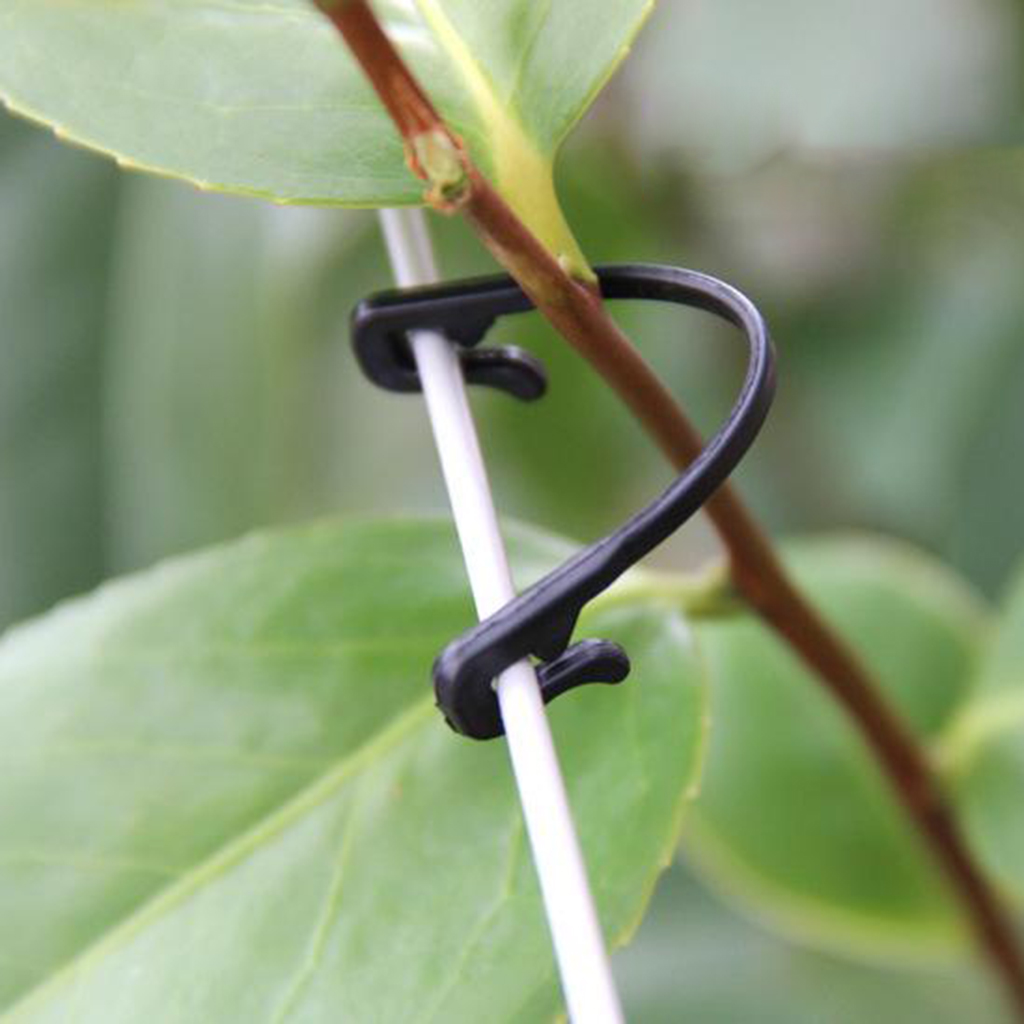 200x 6cm Vines Fastener Clips Buckle Grape Tomato Vine Clips